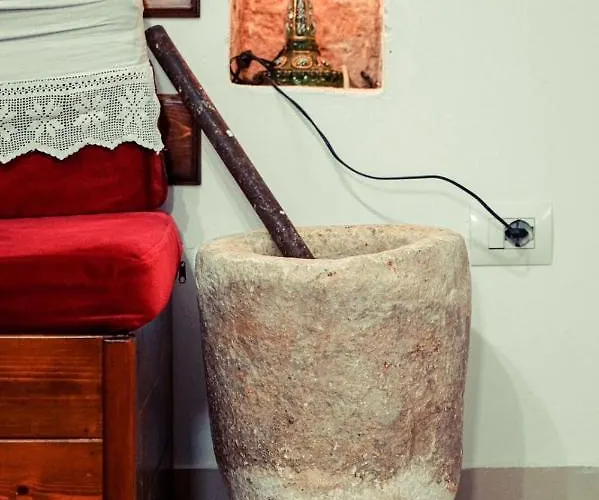 Cico &private Gjirokastër